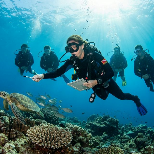 Дайвмастер с группой