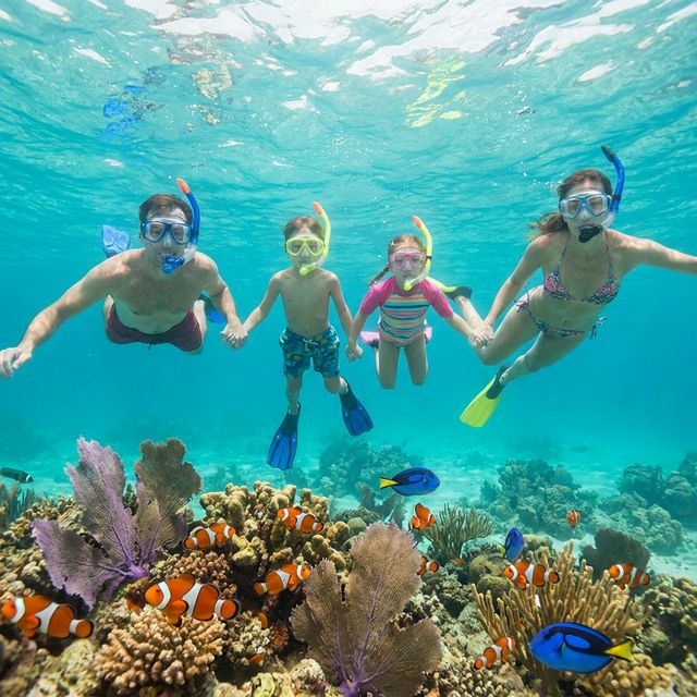 Снорклинг над коралловым рифом