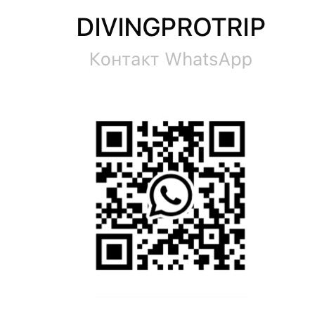 WhatsApp QR
