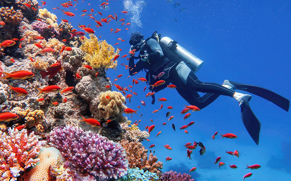 Дайвер у кораллового рифа