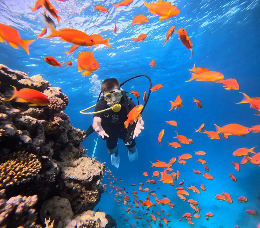 Дайвер с рыбами